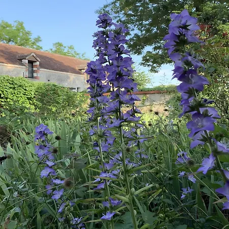 Le Petit Manoir De La Noue *