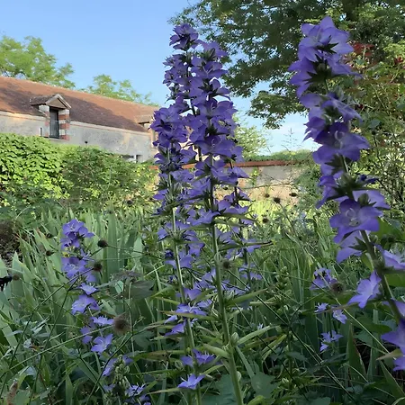 Le Petit Manoir De La Noue Prázdninový dům Chambourg-sur-Indre